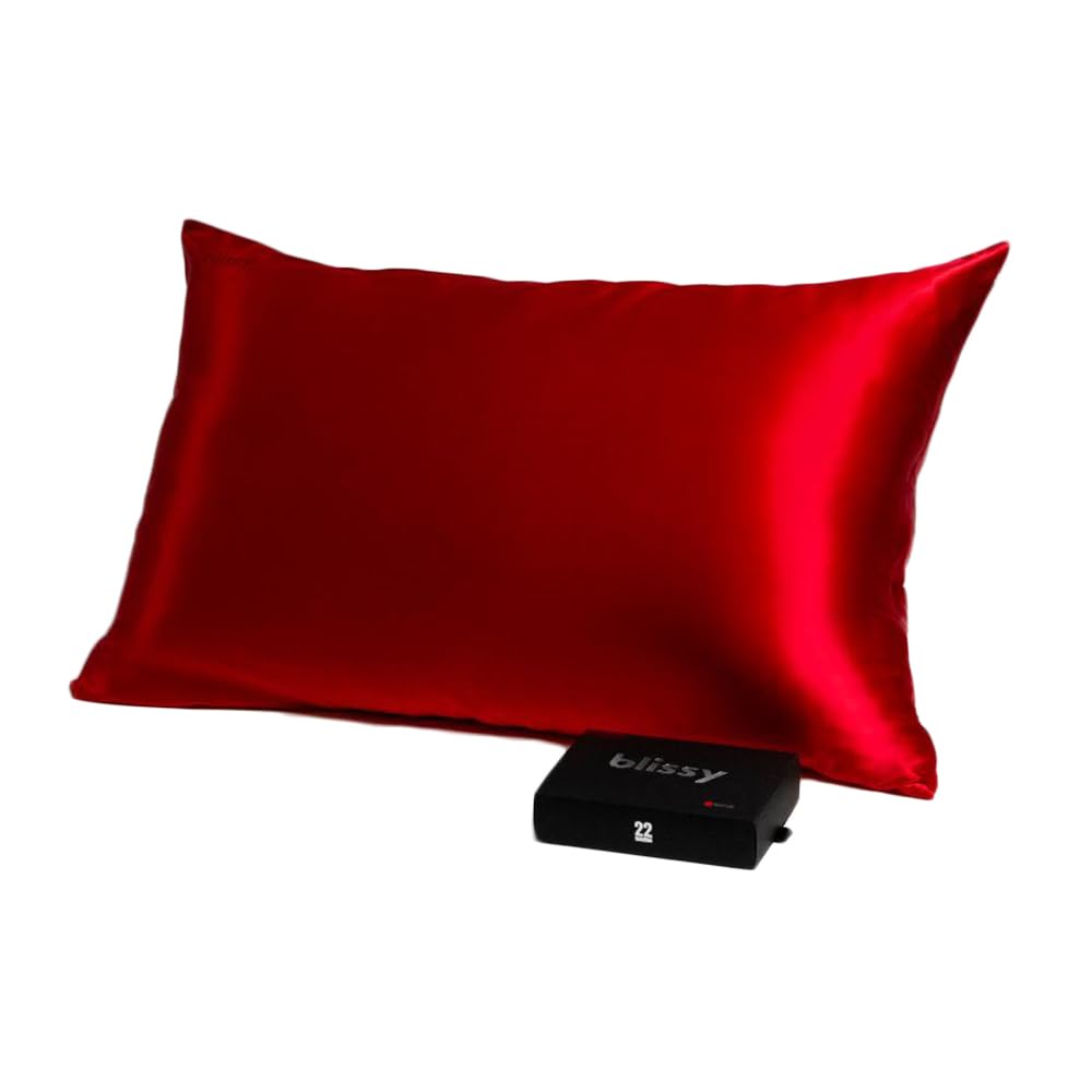 Blissy Silk Pillowcase - 100% Pure Mulberry Silk - 22 Momme 6A High-Grade Fibers - Silk Pillow Cover for Hair & Skin - Regular, Queen & King (Blissy White, Standard)