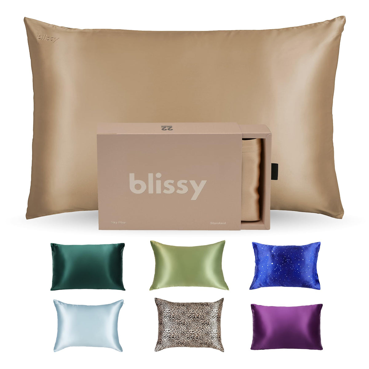 Blissy Silk Pillowcase - 100% Pure Mulberry Silk - 22 Momme 6A High-Grade Fibers - Silk Pillow Cover for Hair & Skin - Regular, Queen & King (Blissy White, Standard)