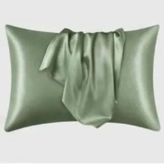 Beamly 2-Piece Satin Silk Pillowcase Set, Standard Size Coral Pillowcases for Hair and Skin, Super Soft Bedding Pillow Covers