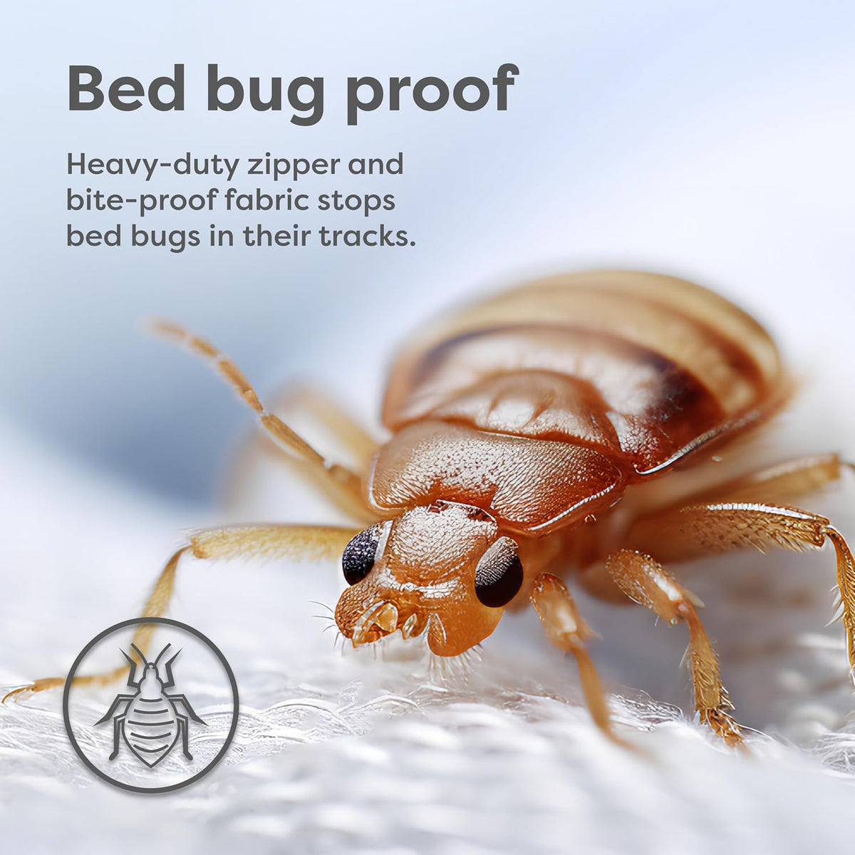 HOSPITOLOGY PRODUCTS Pillow Encasement- Zippered Bed Bug Dust Mite Proof Hypoallergenic - Sleep Defense System - Standard - Waterproof - Set of 2 - 20" H x 26" W