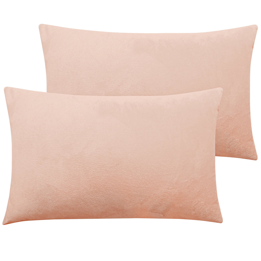 NTBAY Velvet Pillowcases, 2 Pack Plush Ultra Soft Hidden Zipper Closure Pillow Covers for Hair Protection, Luxurious Fluffy Pillow Shams, Subtle Sheen, Smooth Warm Touch, Year-Round Comfort, Easy Care, Standard/Queen/King, Oeko-Tex, No Bleaching, No Ironi