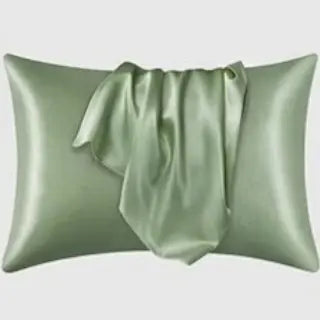 Beamly 2-Piece Satin Silk Pillowcase Set, Standard Size Coral Pillowcases for Hair and Skin, Super Soft Bedding Pillow Covers