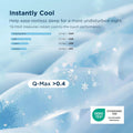 Bedsure 2-Pack Cooling Silk-Like Pillowcase Set - Ceramide Infused, Cool Touch Fabric, Hyaluronic Acid for Skin, Frizz Control, Wrinkle Resistant, Breathable, Hidden Zipper, Nylon-Spandex, Hydrate as You Rest, Premium Gift for Her, Elegant Boxed