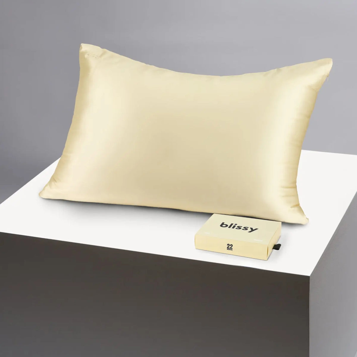 Blissy Silk Pillowcase - 100% Pure Mulberry Silk - Improve Your Hair, Skin and Health While You Sleep! - The Only Award Winning & Dermatologist Approved Silk Pillowcase