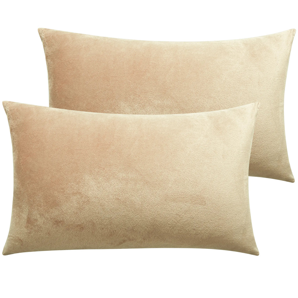 NTBAY Velvet Pillowcases, 2 Pack Plush Ultra Soft Hidden Zipper Closure Pillow Covers for Hair Protection, Luxurious Fluffy Pillow Shams, Subtle Sheen, Smooth Warm Touch, Year-Round Comfort, Easy Care, Standard/Queen/King, Oeko-Tex, No Bleaching, No Ironi